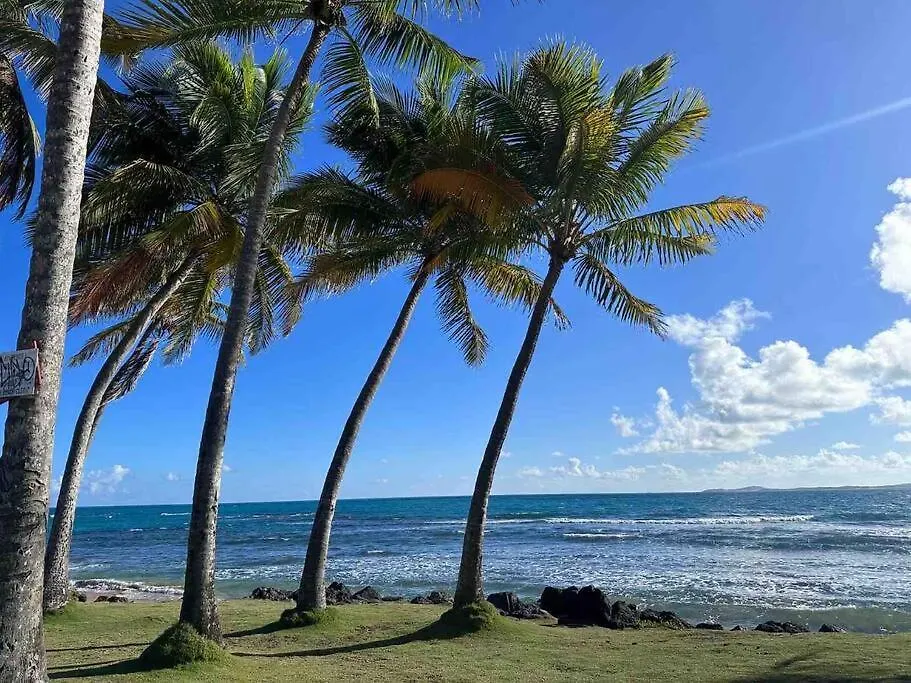 Beachfront Studio Sanctuary Luquillo