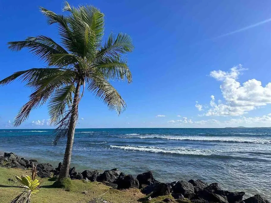 Beachfront Studio Sanctuary Luquillo